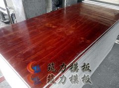 建筑模板小样 建筑模板样品