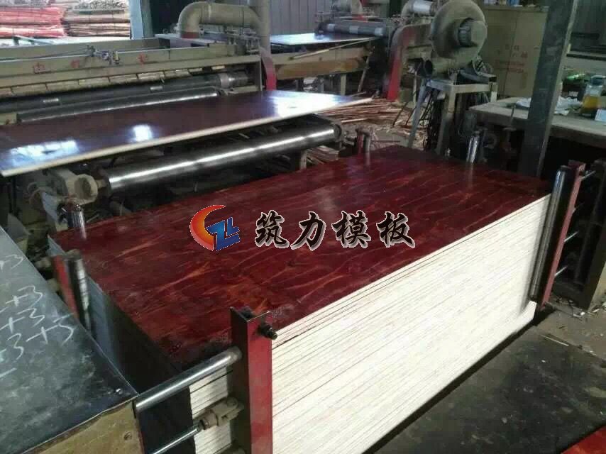 沭阳县根本木业是专业生产建筑模板的厂家